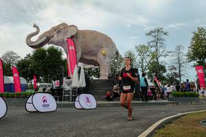 BIB: 
                            <button type="button" onclick="openModal(26528897)" class="btn btn-primary btn-sm float-right btn-popup" data-toggle="modal" data-target=".modal-high-quality">
                        <i class="fas fa-shopping-cart"></i> Add to Cart
                    </button>
                                            <button type="button" onclick="isThisMe(26528897, true)" class="btn btn-success btn-sm float-right btn-popup btn-isme hidden" data-toggle="tooltip" data-placement="bottom" title="นี่คือรูปของคุณใช่ไหม คลิกที่นี่เพื่อเอาเข้าอัลบั้ม">
                        <i class="fas fa-plus"></i> Add to album
                    </button>
                    <button type="button" onclick="isThisMe(26528897, false)" class="btn btn-warning btn-sm float-right btn-popup btn-isnotme hidden">
                        <i class="fas fa-ban"></i> Remove from album
                    </button>